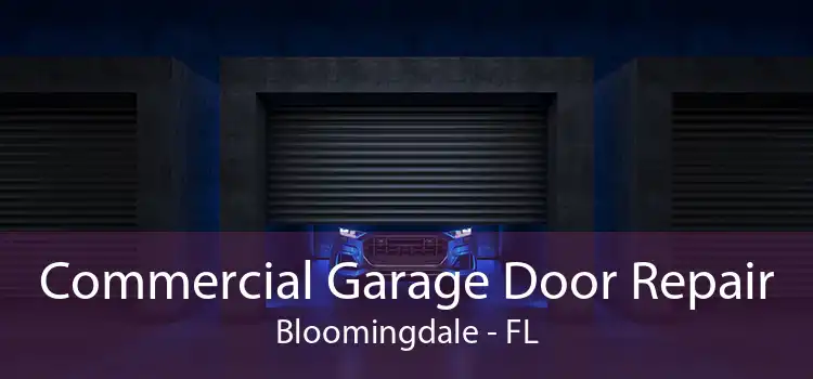Commercial Garage Door Repair Bloomingdale - FL