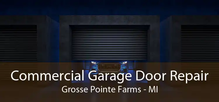 Commercial Garage Door Repair Grosse Pointe Farms - MI