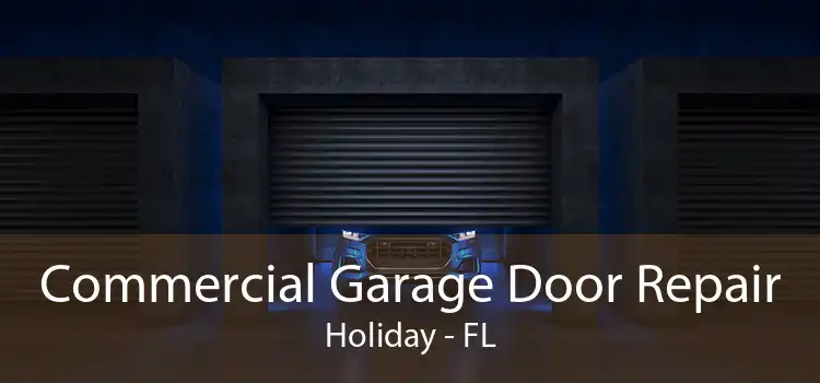 Commercial Garage Door Repair Holiday - FL