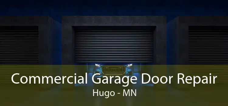 Commercial Garage Door Repair Hugo - MN