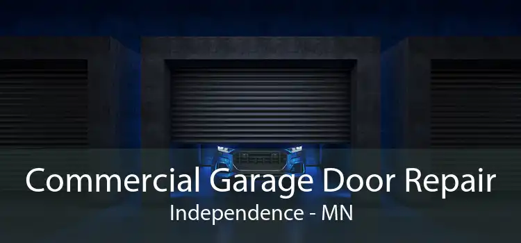 Commercial Garage Door Repair Independence - MN