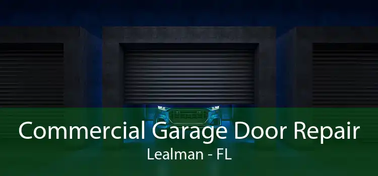 Commercial Garage Door Repair Lealman - FL