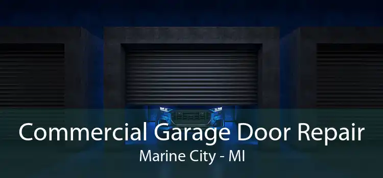 Commercial Garage Door Repair Marine City - MI