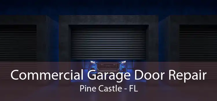 Commercial Garage Door Repair Pine Castle - FL