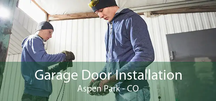 Garage Door Installation Aspen Park - CO