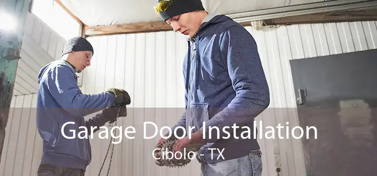 Garage Door Installation Cibolo - TX