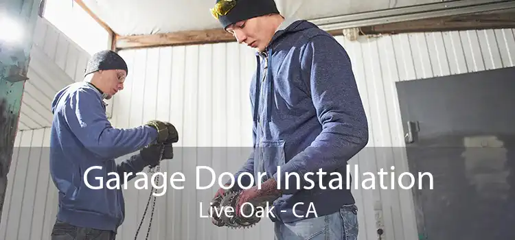 Garage Door Installation Live Oak - CA