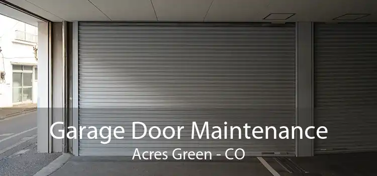 Garage Door Maintenance Acres Green - CO