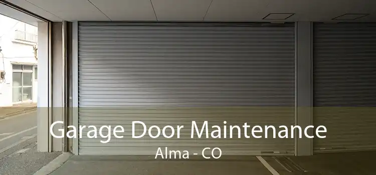 Garage Door Maintenance Alma - CO