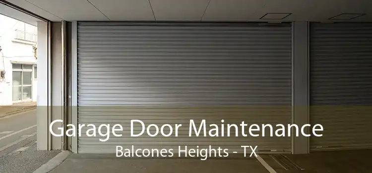 Garage Door Maintenance Balcones Heights - TX