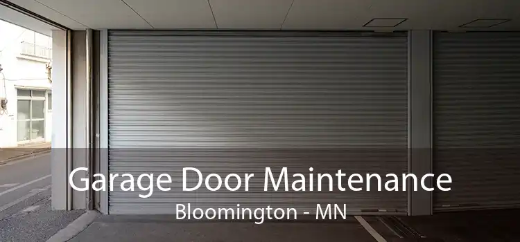 Garage Door Maintenance Bloomington - MN