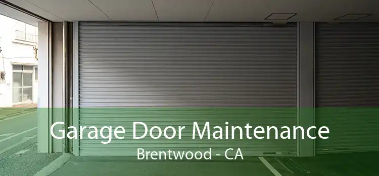 Garage Door Maintenance Brentwood - CA