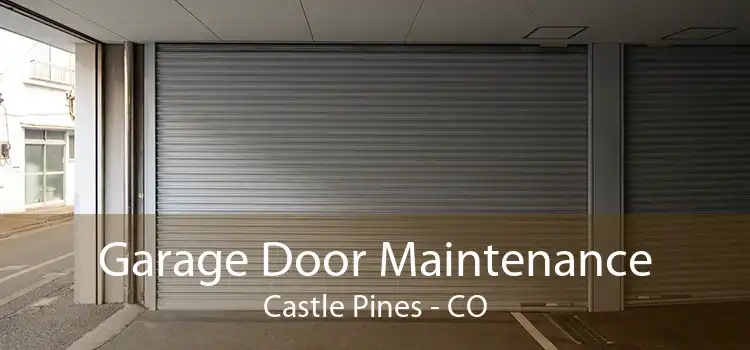 Garage Door Maintenance Castle Pines - CO