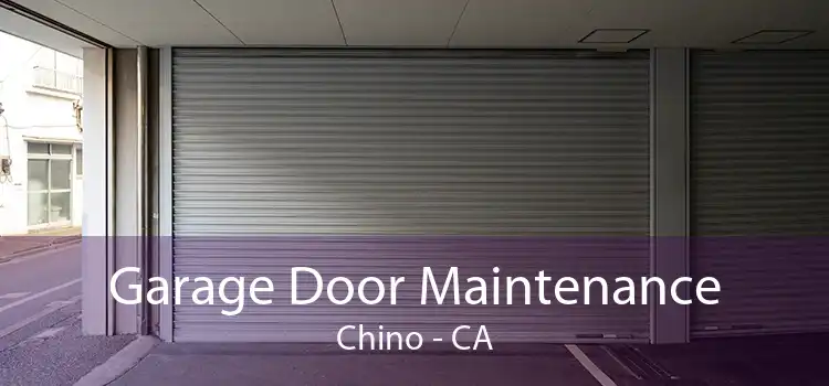 Garage Door Maintenance Chino - CA