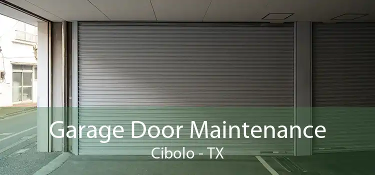 Garage Door Maintenance Cibolo - TX