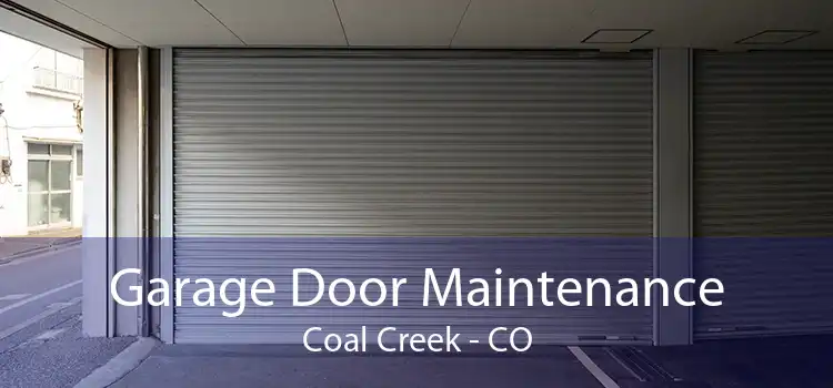 Garage Door Maintenance Coal Creek - CO