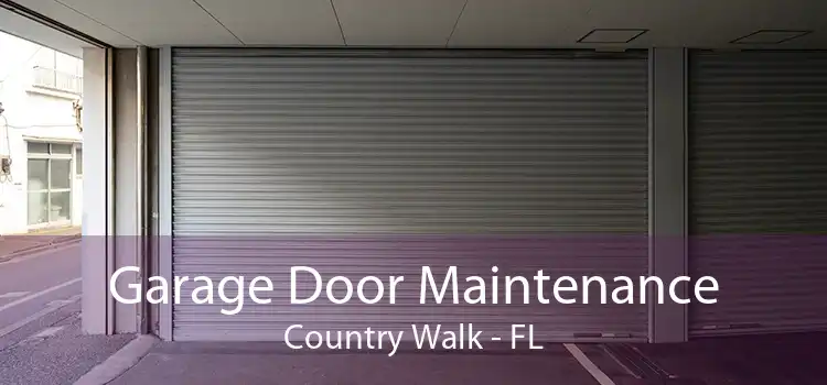 Garage Door Maintenance Country Walk - FL