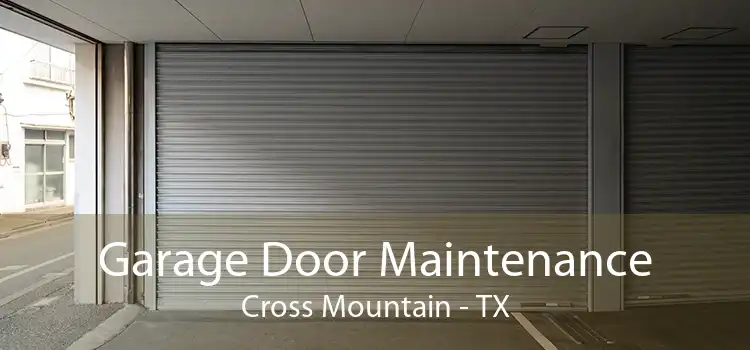 Garage Door Maintenance Cross Mountain - TX