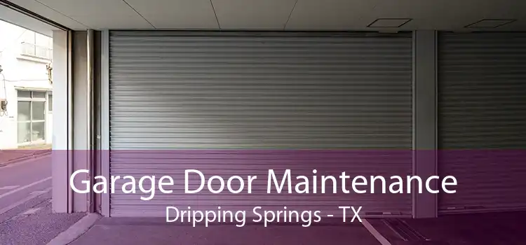 Garage Door Maintenance Dripping Springs - TX