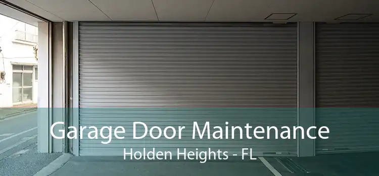 Garage Door Maintenance Holden Heights - FL