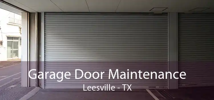 Garage Door Maintenance Leesville - TX