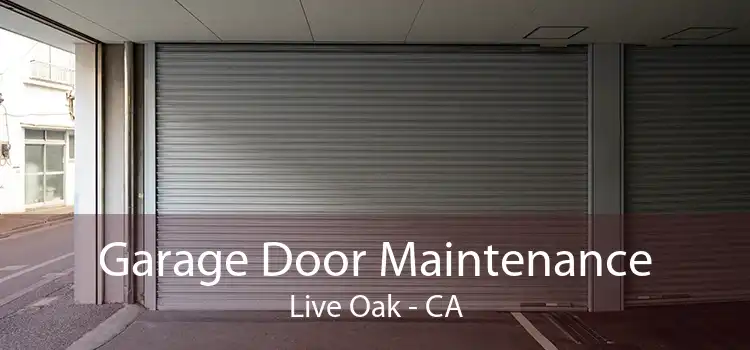 Garage Door Maintenance Live Oak - CA