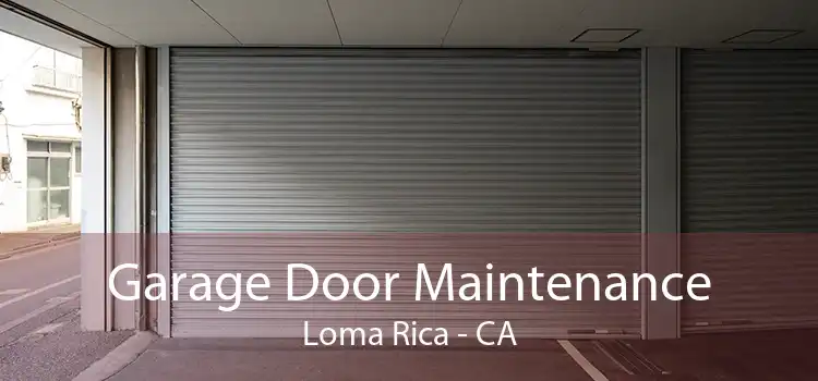 Garage Door Maintenance Loma Rica - CA