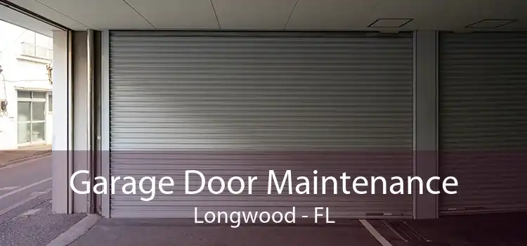 Garage Door Maintenance Longwood - FL