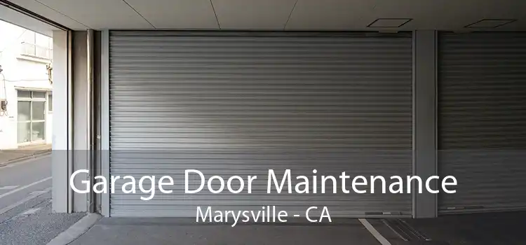 Garage Door Maintenance Marysville - CA