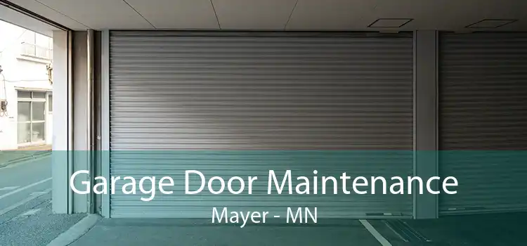 Garage Door Maintenance Mayer - MN