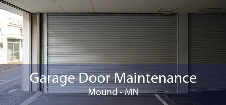 Garage Door Maintenance Mound - MN