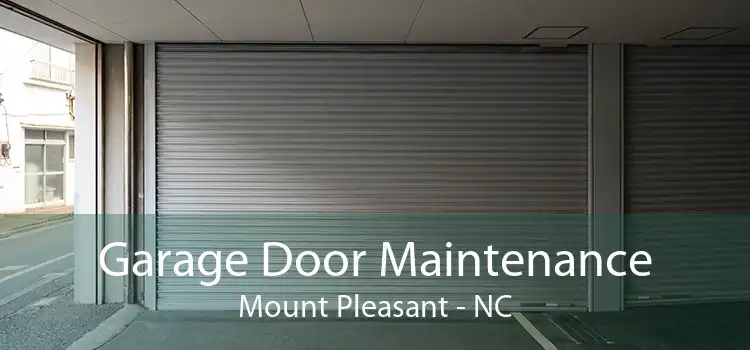 Garage Door Maintenance Mount Pleasant - NC