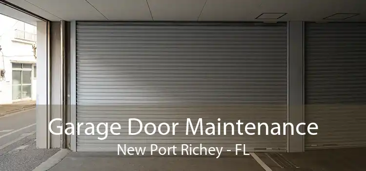 Garage Door Maintenance New Port Richey - FL