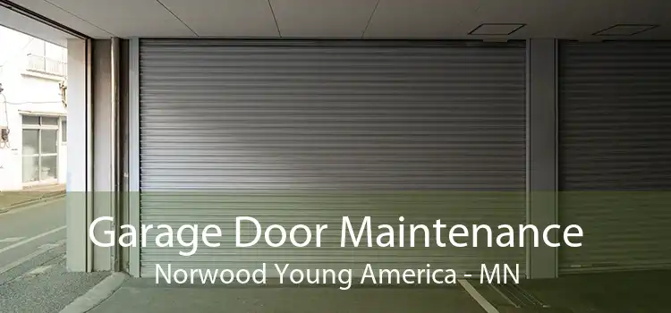 Garage Door Maintenance Norwood Young America - MN