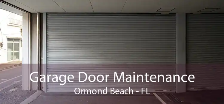 Garage Door Maintenance Ormond Beach - FL