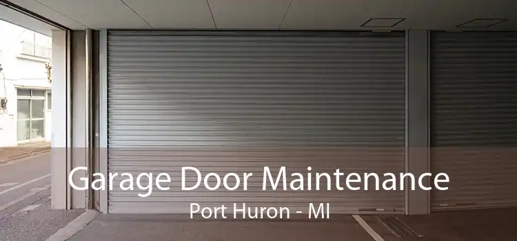 Garage Door Maintenance Port Huron - MI