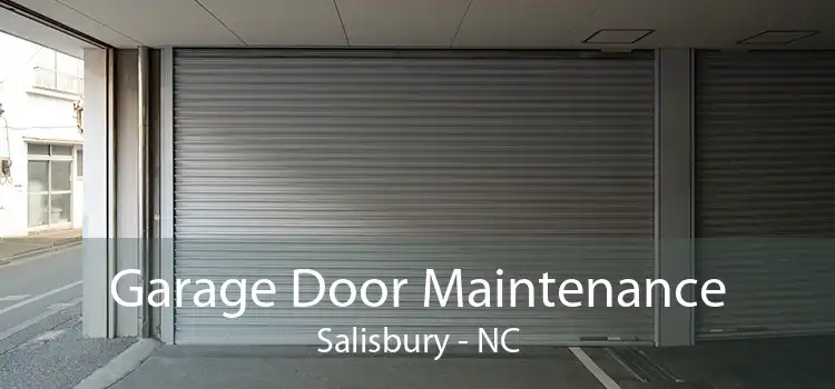 Garage Door Maintenance Salisbury - NC