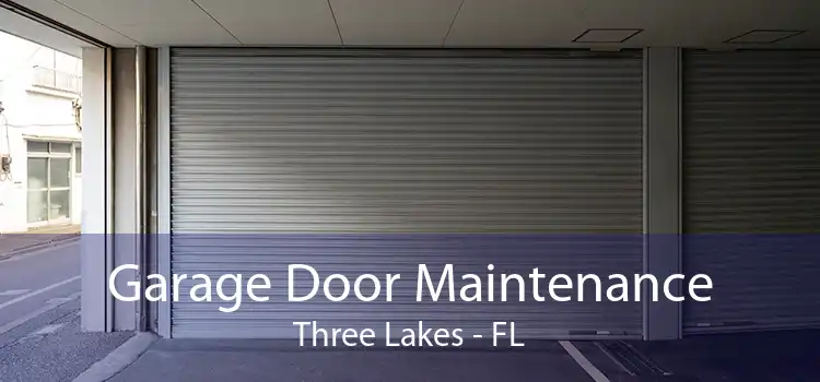 Garage Door Maintenance Three Lakes - FL