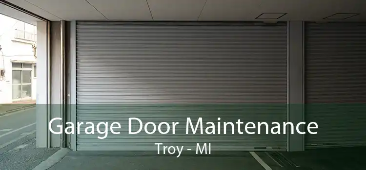 Garage Door Maintenance Troy - MI