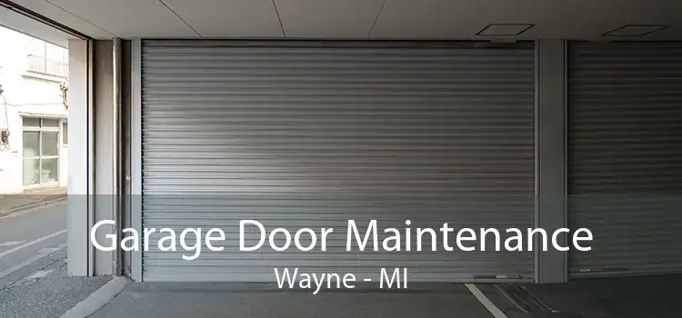 Garage Door Maintenance Wayne - MI