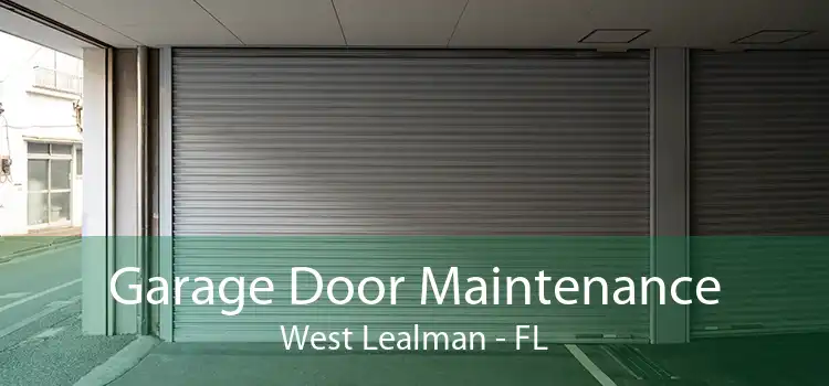 Garage Door Maintenance West Lealman - FL