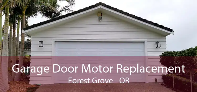 Garage Door Motor Replacement Forest Grove - OR