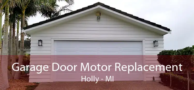 Garage Door Motor Replacement Holly - MI