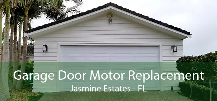 Garage Door Motor Replacement Jasmine Estates - FL