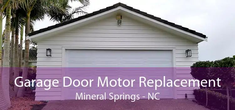 Garage Door Motor Replacement Mineral Springs - NC