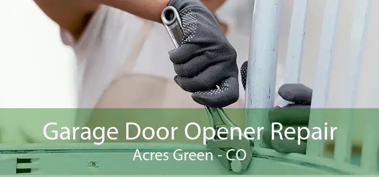 Garage Door Opener Repair Acres Green - CO