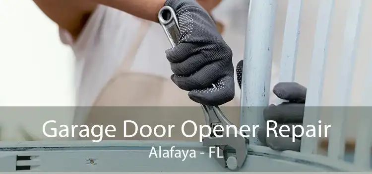 Garage Door Opener Repair Alafaya - FL