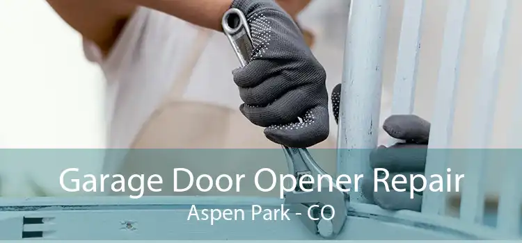 Garage Door Opener Repair Aspen Park - CO