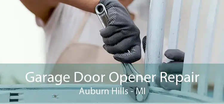 Garage Door Opener Repair Auburn Hills - MI