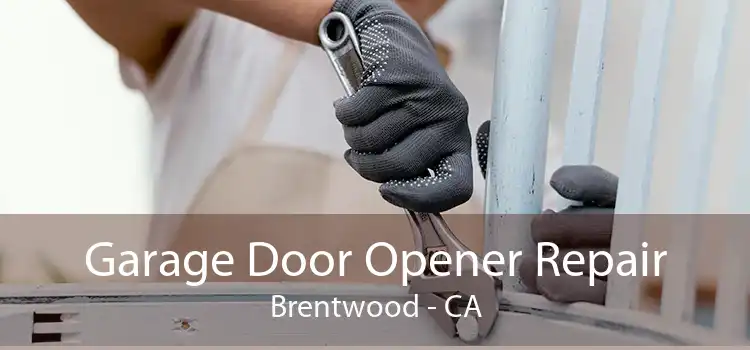 Garage Door Opener Repair Brentwood - CA